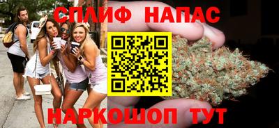дживик Тара